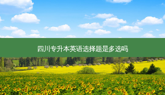 四川专升本英语选择题是多选吗-第1张图片-天智网 四川专升本英语选择题是多选吗-第1张图片-天智网