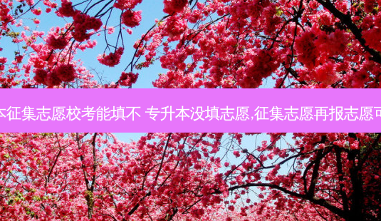 专升本征集志愿校考能填不 专升本没填志愿,征集志愿再报志愿可以吗-第1张图片-天智网 专升本征集志愿校考能填不 专升本没填志愿,征集志愿再报志愿可以吗-第1张图片-天智网