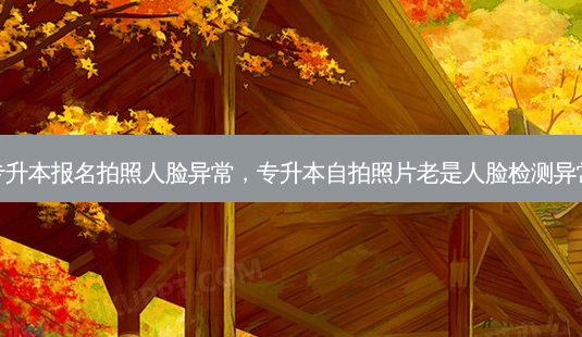 专升本报名拍照人脸异常,专升本 *** 照片老是人脸检测异常-第1张图片-天智网 专升本报名拍照人脸异常,专升本 *** 照片老是人脸检测异常-第1张图片-天智网