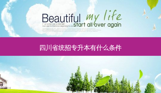 四川省统招专升本有什么条件-第1张图片-天智网 四川省统招专升本有什么条件-第1张图片-天智网