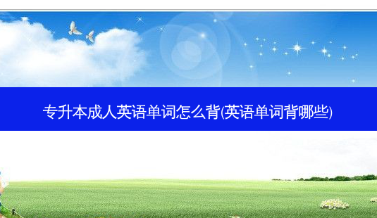 专升本成人英语单词怎么背(英语单词背哪些)-第1张图片-天智网 专升本成人英语单词怎么背(英语单词背哪些)-第1张图片-天智网