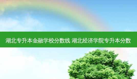 湖北专升本金融学校分数线 湖北经济学院专升本分数-第1张图片-汇成专升本网