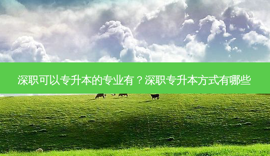 深职可以专升本的专业有?深职专升本方式有哪些-第1张图片-天智网 深职可以专升本的专业有?深职专升本方式有哪些-第1张图片-天智网