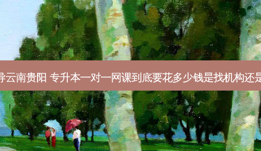 专升本一对一辅导云南贵阳 专升本一对一网课到底要花多少钱是找机构还是单干的私教老师-第1张图片-天智网 专升本一对一辅导云南贵阳 专升本一对一网课到底要花多少钱是找机构还是单干的私教老师-第1张图片-天智网