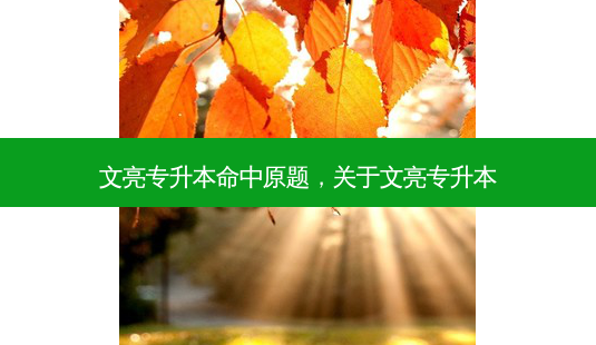 文亮专升本命中原题,关于文亮专升本-第1张图片-天智网 文亮专升本命中原题,关于文亮专升本-第1张图片-天智网