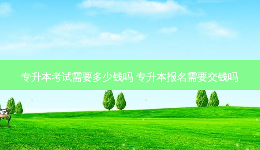 专升本考试需要多少钱吗 专升本报名需要交钱吗-第1张图片-天智网 专升本考试需要多少钱吗 专升本报名需要交钱吗-第1张图片-天智网