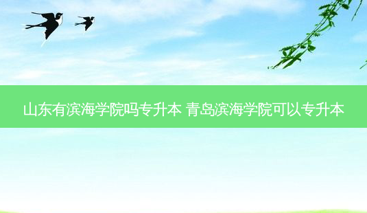 山东有滨海学院吗专升本 青岛滨海学院可以专升本-第1张图片-汇成专升本网