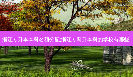 浙江专升本本科名额分配(浙江专科升本科的学校有哪些)-第1张图片-天智网 浙江专升本本科名额分配(浙江专科升本科的学校有哪些)-第1张图片-天智网