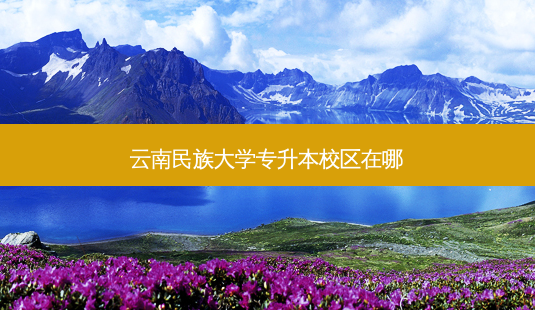 云南民族大学专升本校区在哪-第1张图片-天智网 云南民族大学专升本校区在哪-第1张图片-天智网