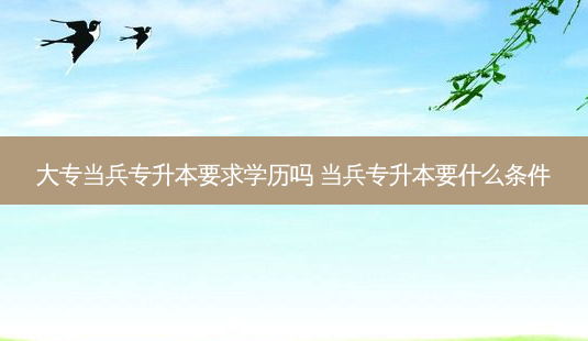 大专当兵专升本要求学历吗 当兵专升本要什么条件-第1张图片-天智网 大专当兵专升本要求学历吗 当兵专升本要什么条件-第1张图片-天智网