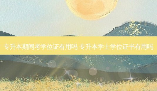 专升本期间考学位证有用吗 专升本学士学位证书有用吗-第1张图片-天智网 专升本期间考学位证有用吗 专升本学士学位证书有用吗-第1张图片-天智网