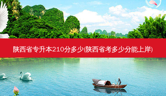陕西省专升本210分多少(陕西省考多少分能上岸)-第1张图片-天智网 陕西省专升本210分多少(陕西省考多少分能上岸)-第1张图片-天智网