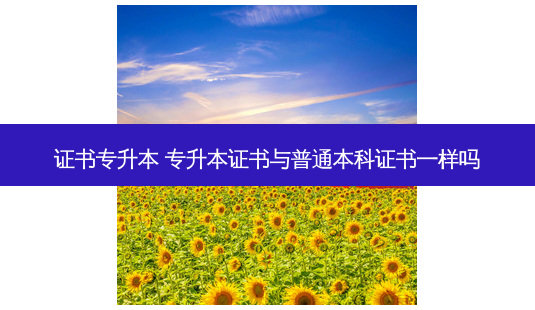 证书专升本 专升本证书与普通本科证书一样吗-第1张图片-天智网 证书专升本 专升本证书与普通本科证书一样吗-第1张图片-天智网