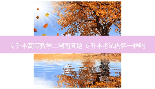 专升本高等数学二湖南真题 专升本考试内容一样吗-第1张图片-天智网 专升本高等数学二湖南真题 专升本考试内容一样吗-第1张图片-天智网