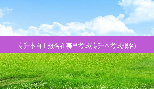 专升本自主报名在哪里考试(专升本考试报名)-第1张图片-天智网 专升本自主报名在哪里考试(专升本考试报名)-第1张图片-天智网