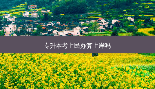 专升本考上民办算上岸吗-第1张图片-天智网 专升本考上民办算上岸吗-第1张图片-天智网