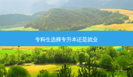专科生选择专升本还是就业-第1张图片-天智网 专科生选择专升本还是就业-第1张图片-天智网