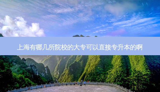 上海有哪几所院校的大专可以直接专升本的啊-第1张图片-天智网 上海有哪几所院校的大专可以直接专升本的啊-第1张图片-天智网