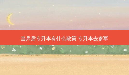 当兵后专升本有什么政策 专升本去参军-第1张图片-天智网 当兵后专升本有什么政策 专升本去参军-第1张图片-天智网