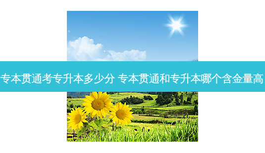 专本贯通考专升本多少分 专本贯通和专升本哪个含金量高-第1张图片-天智网 专本贯通考专升本多少分 专本贯通和专升本哪个含金量高-第1张图片-天智网