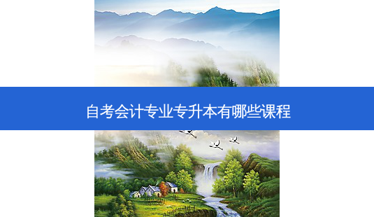 自考会计专业专升本有哪些课程-第1张图片-天智网 自考会计专业专升本有哪些课程-第1张图片-天智网