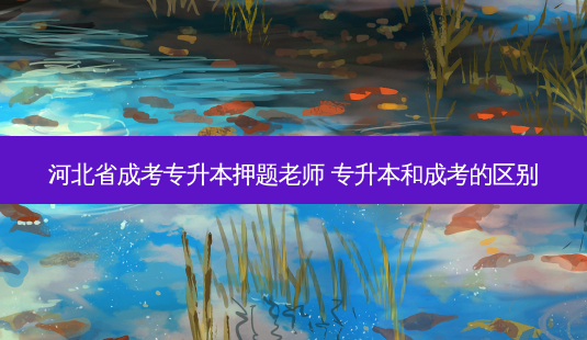 河北省成考专升本押题老师 专升本和成考的区别-第1张图片-天智网 河北省成考专升本押题老师 专升本和成考的区别-第1张图片-天智网