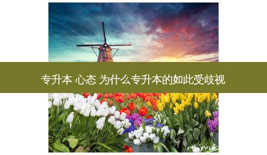 专升本 心态 为什么专升本的如此受歧视-第1张图片-天智网 专升本 心态 为什么专升本的如此受歧视-第1张图片-天智网