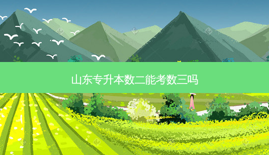山东专升本数二能考数三吗-第1张图片-天智网 山东专升本数二能考数三吗-第1张图片-天智网