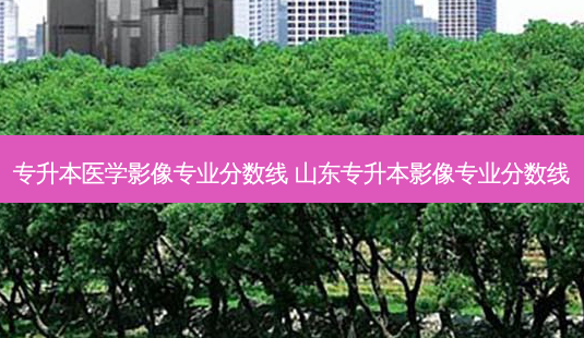 专升本医学影像专业分数线 山东专升本影像专业分数线-第1张图片-天智网 专升本医学影像专业分数线 山东专升本影像专业分数线-第1张图片-天智网
