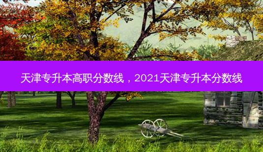 天津专升本高职分数线,2021天津专升本分数线-第1张图片-天智网 天津专升本高职分数线,2021天津专升本分数线-第1张图片-天智网