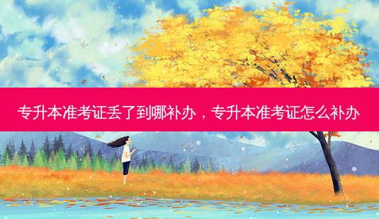 专升本准考证丢了到哪补办,专升本准考证怎么补办-第1张图片-天智网 专升本准考证丢了到哪补办,专升本准考证怎么补办-第1张图片-天智网