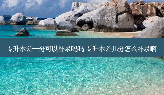 专升本差一分可以补录吗吗 专升本差几分怎么补录啊-第1张图片-天智网 专升本差一分可以补录吗吗 专升本差几分怎么补录啊-第1张图片-天智网