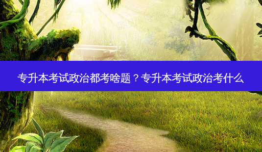 专升本考试政治都考啥题?专升本考试政治考什么-第1张图片-天智网 专升本考试政治都考啥题?专升本考试政治考什么-第1张图片-天智网