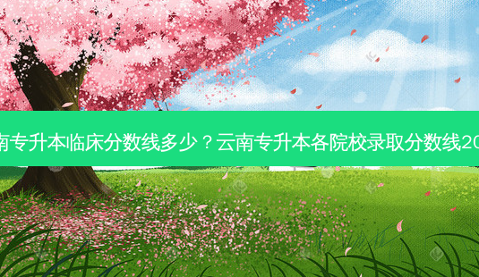 云南专升本临床分数线多少?云南专升本各院校录取分数线2021-第1张图片-天智网 云南专升本临床分数线多少?云南专升本各院校录取分数线2021-第1张图片-天智网