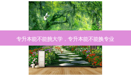 专升本能不能挑大学,专升本能不能换专业-第1张图片-天智网 专升本能不能挑大学,专升本能不能换专业-第1张图片-天智网
