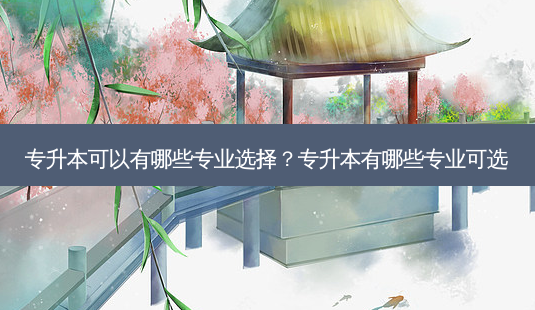 专升本可以有哪些专业选择?专升本有哪些专业可选-第1张图片-天智网 专升本可以有哪些专业选择?专升本有哪些专业可选-第1张图片-天智网