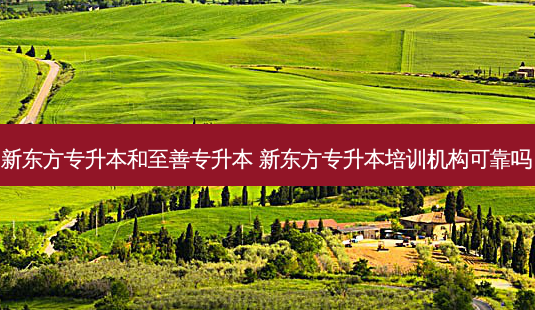 新东方专升本和至善专升本 新东方专升本培训机构可靠吗-第1张图片-天智网 新东方专升本和至善专升本 新东方专升本培训机构可靠吗-第1张图片-天智网