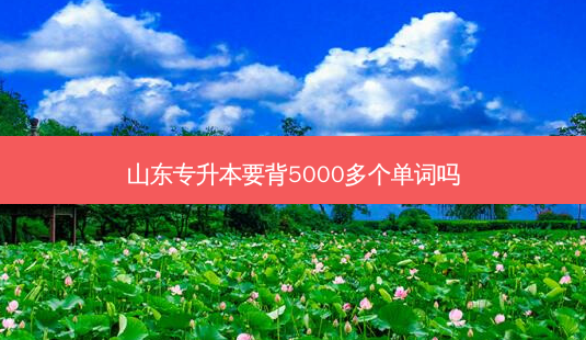 山东专升本要背5000多个单词吗-第1张图片-汇成专升本网