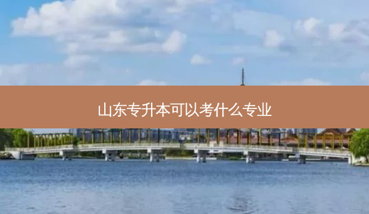 山东专升本可以考什么专业-第1张图片-天智网 山东专升本可以考什么专业-第1张图片-天智网