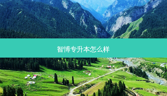智博专升本怎么样-第1张图片-天智网 智博专升本怎么样-第1张图片-天智网
