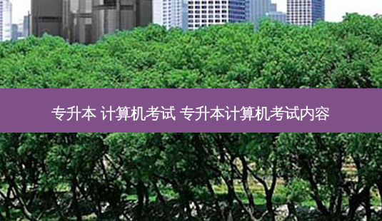 专升本 计算机考试 专升本计算机考试内容-第1张图片-天智网 专升本 计算机考试 专升本计算机考试内容-第1张图片-天智网