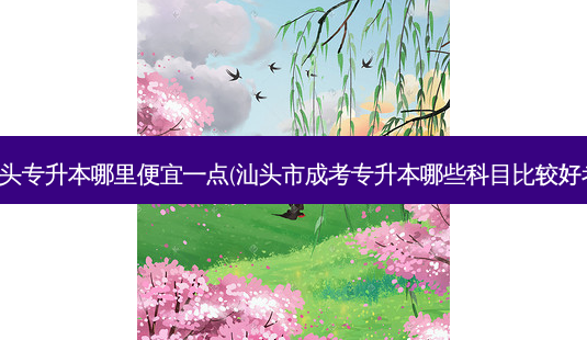 汕头专升本哪里便宜一点(汕头市成考专升本哪些科目比较好考)-第1张图片-天智网 汕头专升本哪里便宜一点(汕头市成考专升本哪些科目比较好考)-第1张图片-天智网