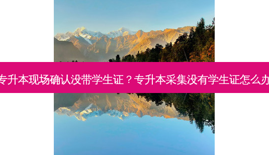 专升本现场确认没带学生证?专升本采集没有学生证怎么办-第1张图片-天智网 专升本现场确认没带学生证?专升本采集没有学生证怎么办-第1张图片-天智网