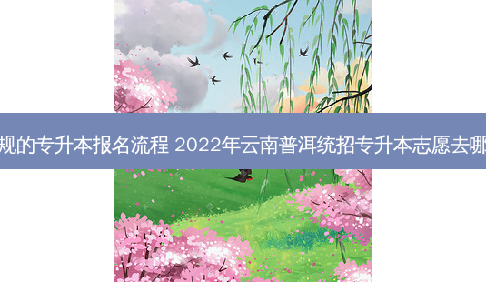 普洱正规的专升本报名流程 2022年云南普洱统招专升本志愿去哪里填报-第1张图片-天智网 普洱正规的专升本报名流程 2022年云南普洱统招专升本志愿去哪里填报-第1张图片-天智网