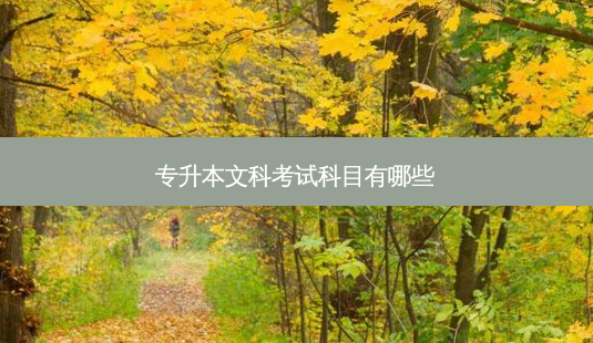 专升本文科考试科目有哪些-第1张图片-天智网 专升本文科考试科目有哪些-第1张图片-天智网