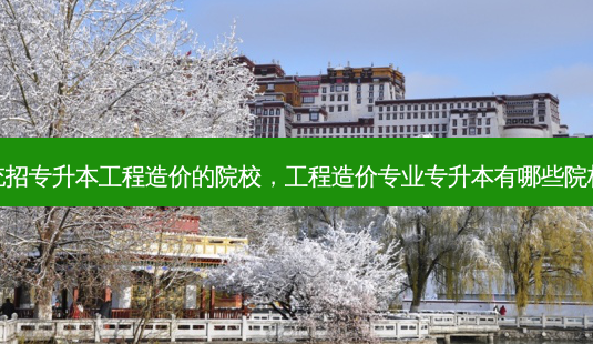 统招专升本工程造价的院校,工程造价专业专升本有哪些院校-第1张图片-天智网 统招专升本工程造价的院校,工程造价专业专升本有哪些院校-第1张图片-天智网