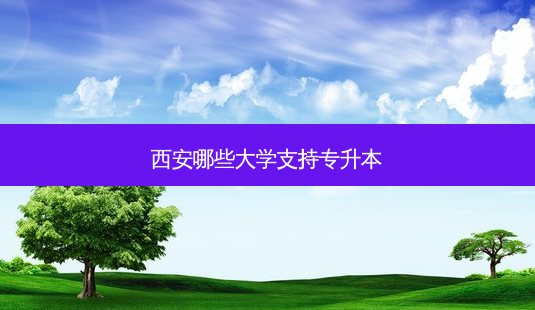 西安哪些大学支持专升本-第1张图片-天智网 西安哪些大学支持专升本-第1张图片-天智网
