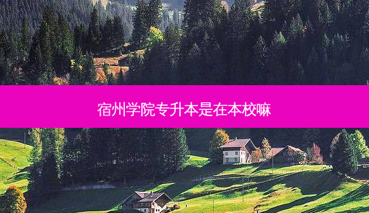 宿州学院专升本是在本校嘛-第1张图片-天智网 宿州学院专升本是在本校嘛-第1张图片-天智网