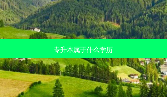 专升本属于什么学历-第1张图片-天智网 专升本属于什么学历-第1张图片-天智网