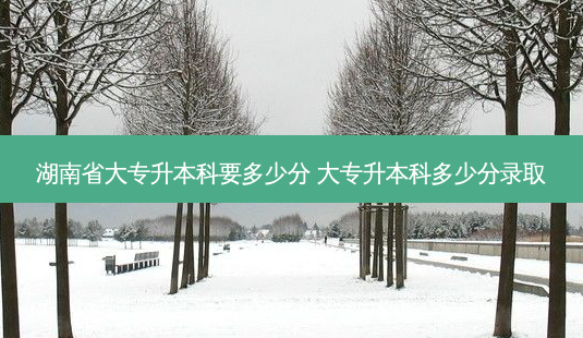 湖南省大专升本科要多少分 大专升本科多少分录取-第1张图片-天智网 湖南省大专升本科要多少分 大专升本科多少分录取-第1张图片-天智网
